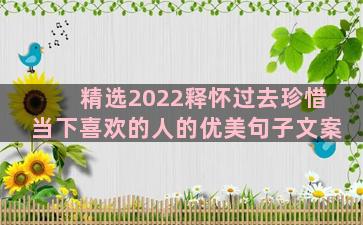 精选2022释怀过去珍惜当下喜欢的人的优美句子文案