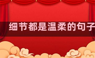 细节都是温柔的句子成语