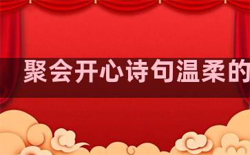 聚会开心诗句温柔的句子