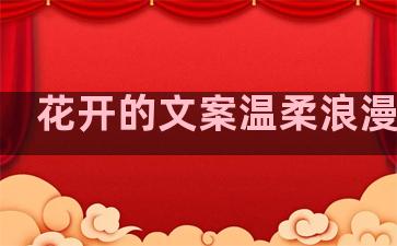 花开的文案温柔浪漫句子