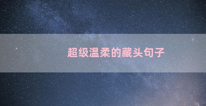 超级温柔的藏头句子