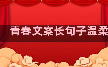 青春文案长句子温柔温暖