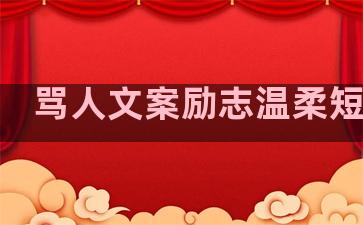 骂人文案励志温柔短句子