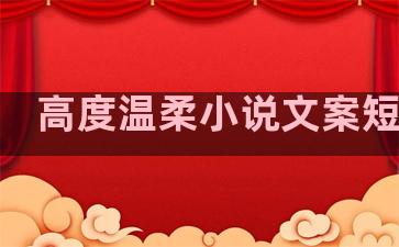 高度温柔小说文案短句子